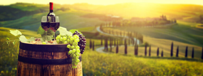 A vineyard at sunset with grapes and rolling hills in the background.