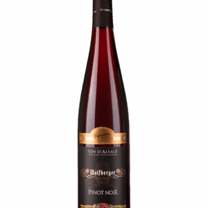 A bottle of red wine labeled Pinot Noir against a plain background.