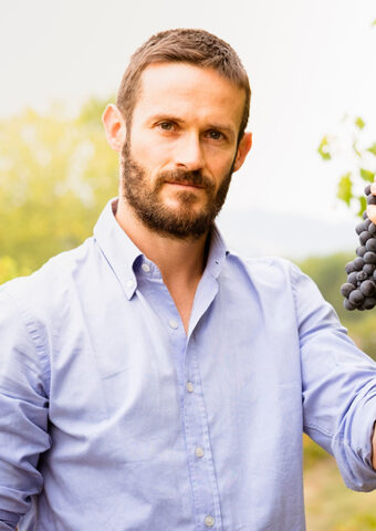 Man holding a bunch of grapes outdoors in a vineyard.