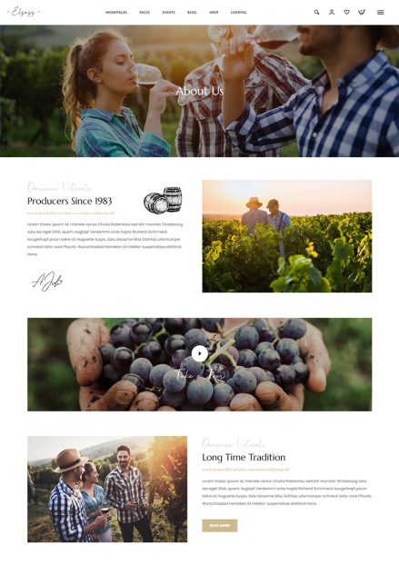 A vineyard harvest with workers picking grapes under sunny skies.
