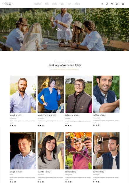 Portraits of diverse adults smiling outdoors and in studio settings.