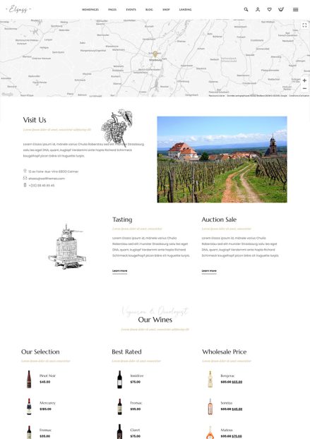 Website homepage featuring a vineyard image and elegant text layout.