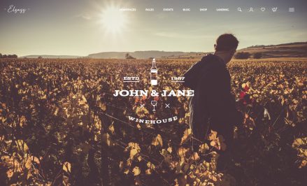 Couple walking through vineyard at sunset with wedding branding overlay.